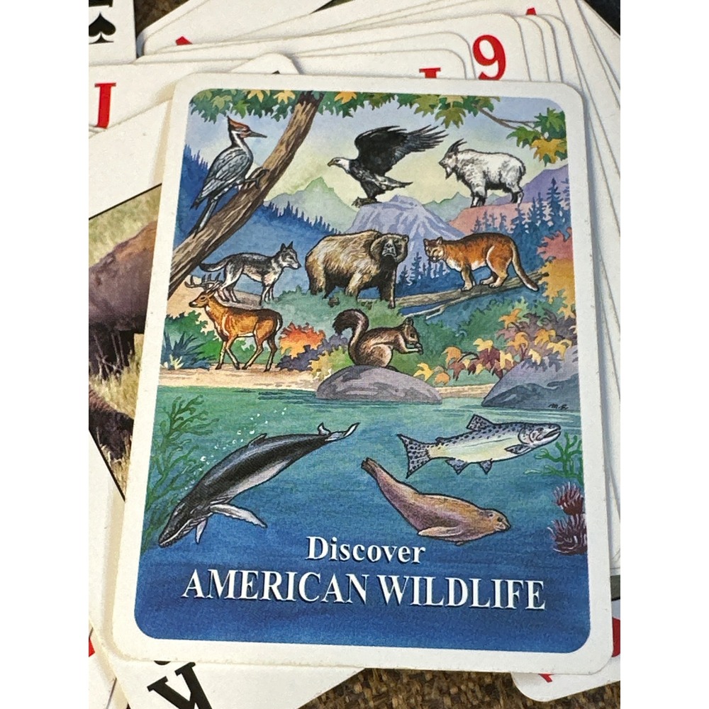Discover American Wildlife Playing Cards 52 Different Animal Images Poker Deck - Picture 4 of 6